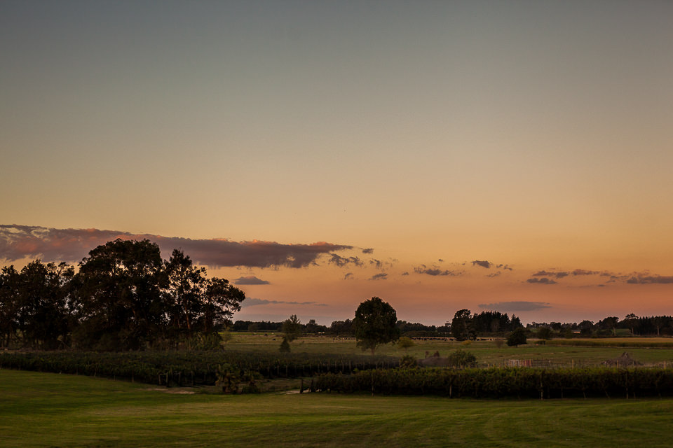 The-official-photographers-Sara&Drew-Vilagrad-Winery-_MG_0192-2