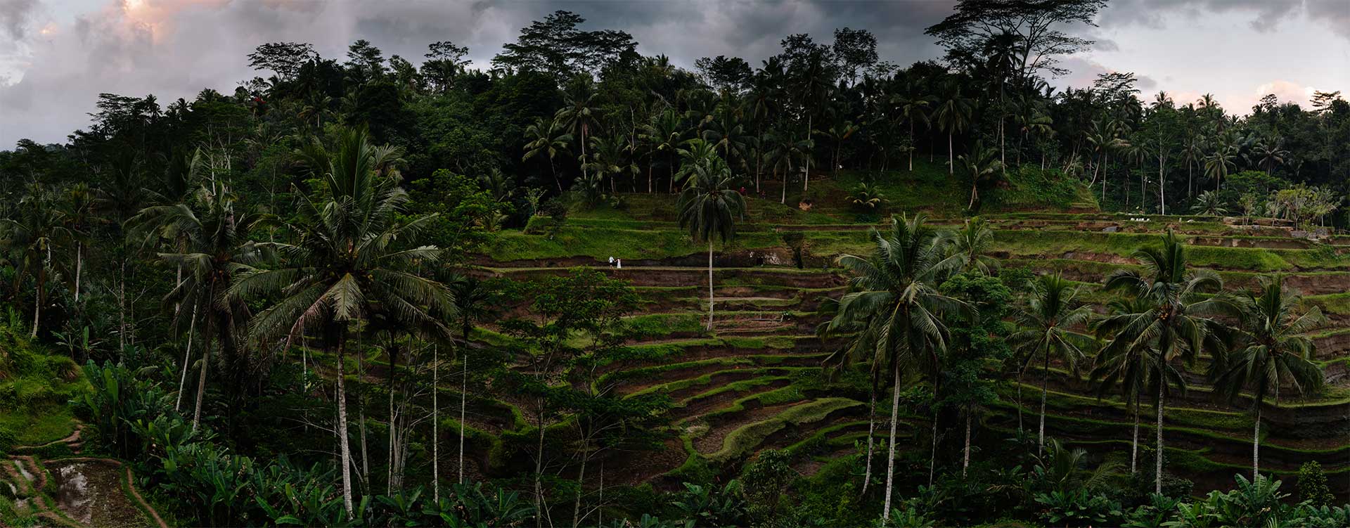 marc-megan-rice-field-panorama-bali2_Small