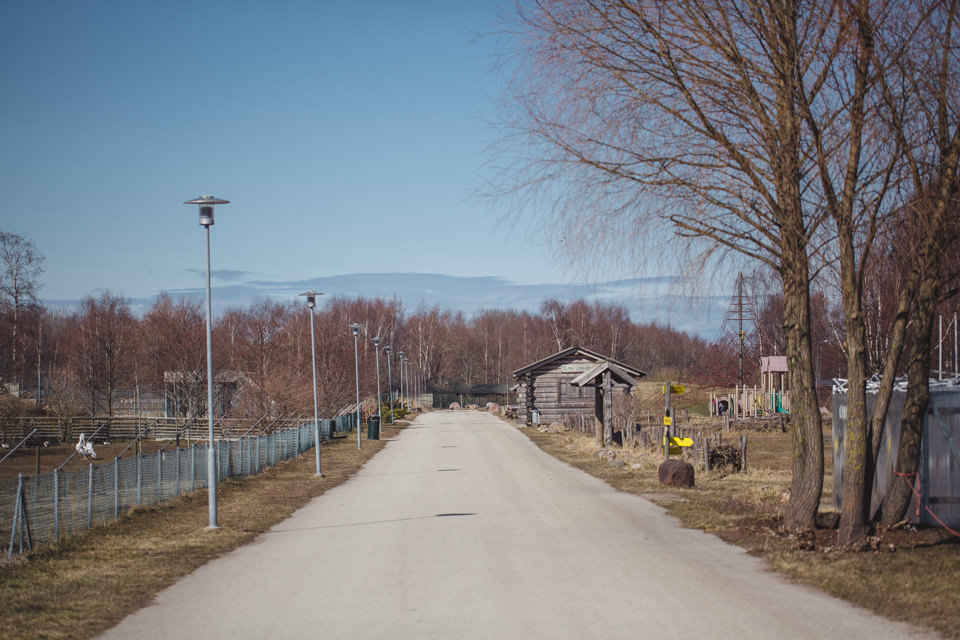 _MG_0084