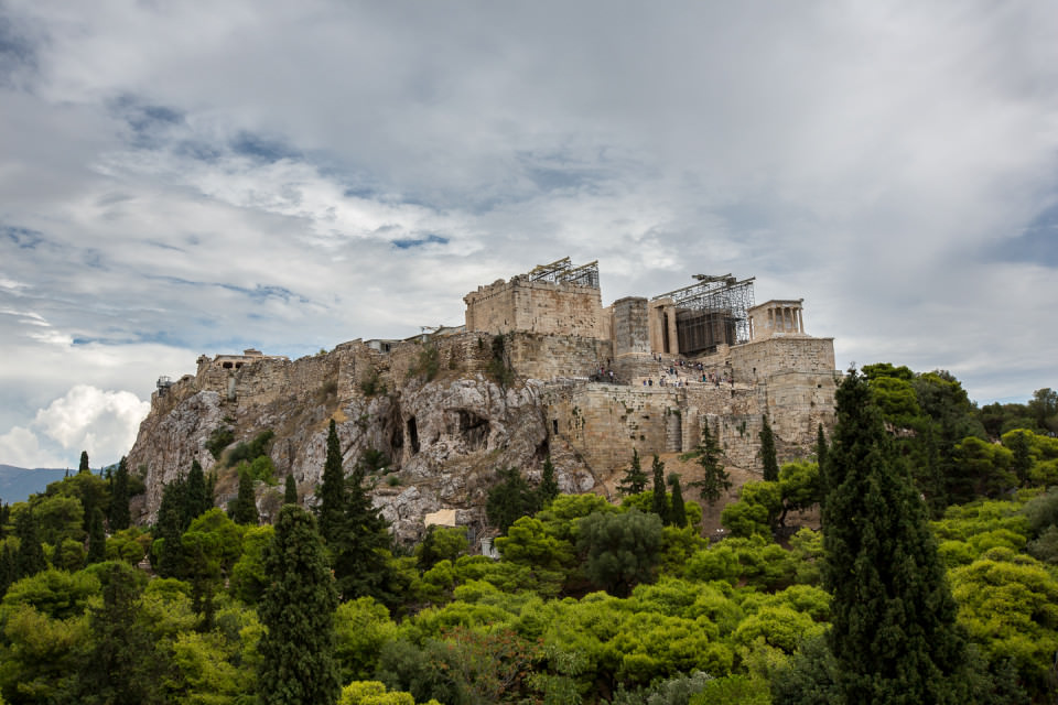 _MG_2329