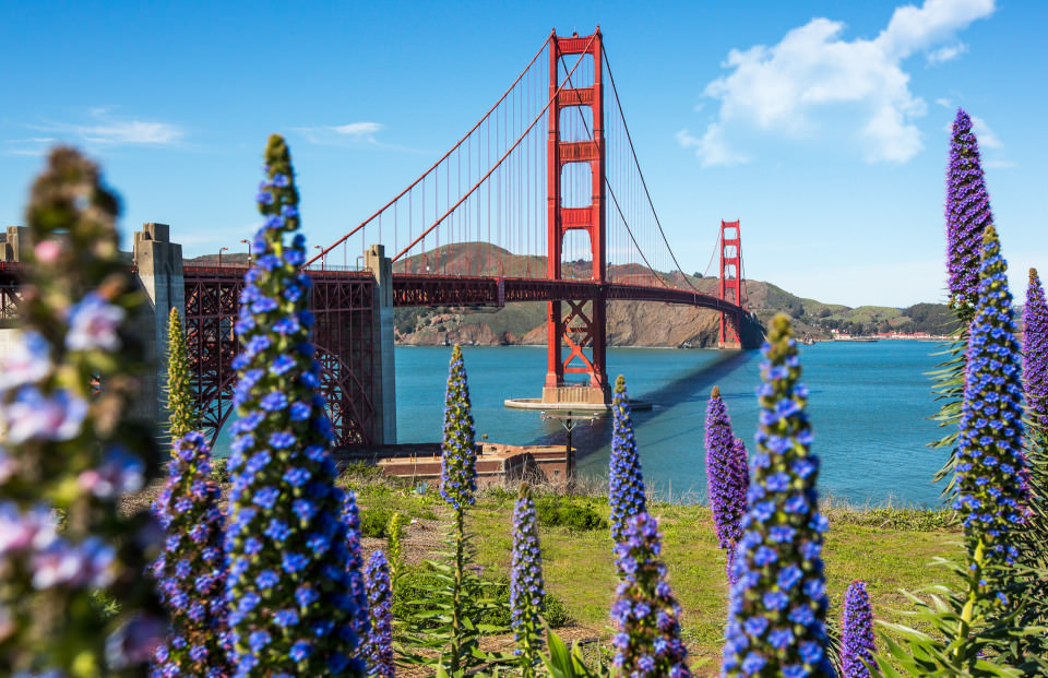 The-official-photographers-San-Francisco-golden-gate-bridge