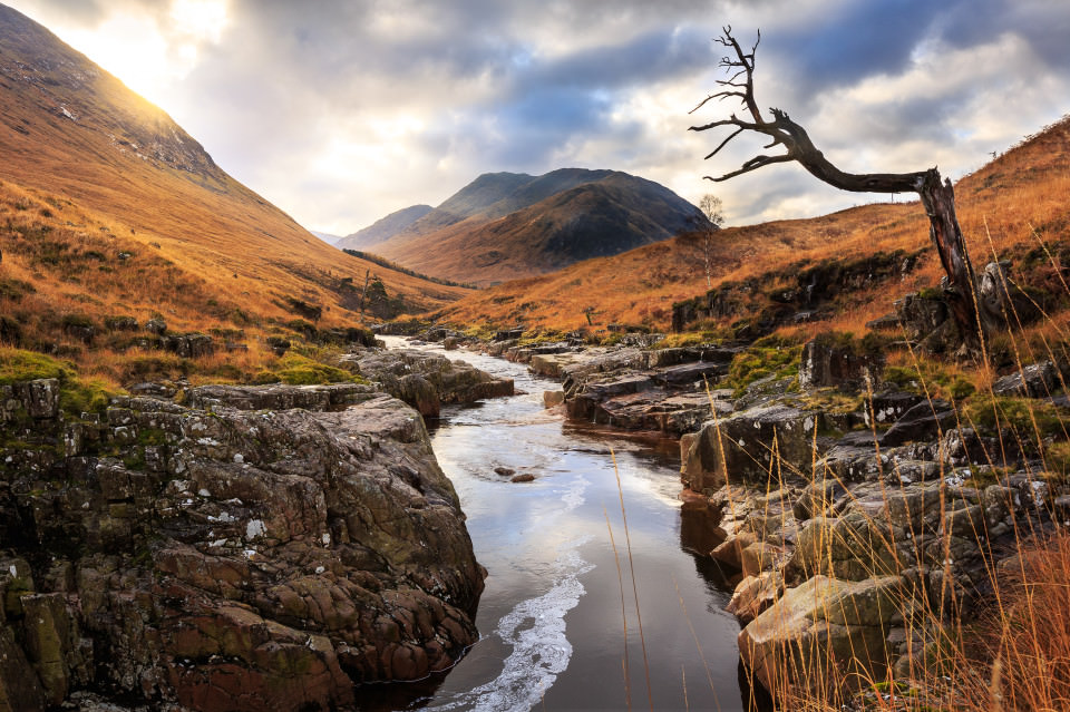 The-official-photographers-scotland-highland-stream-river-alone-tree-sunset