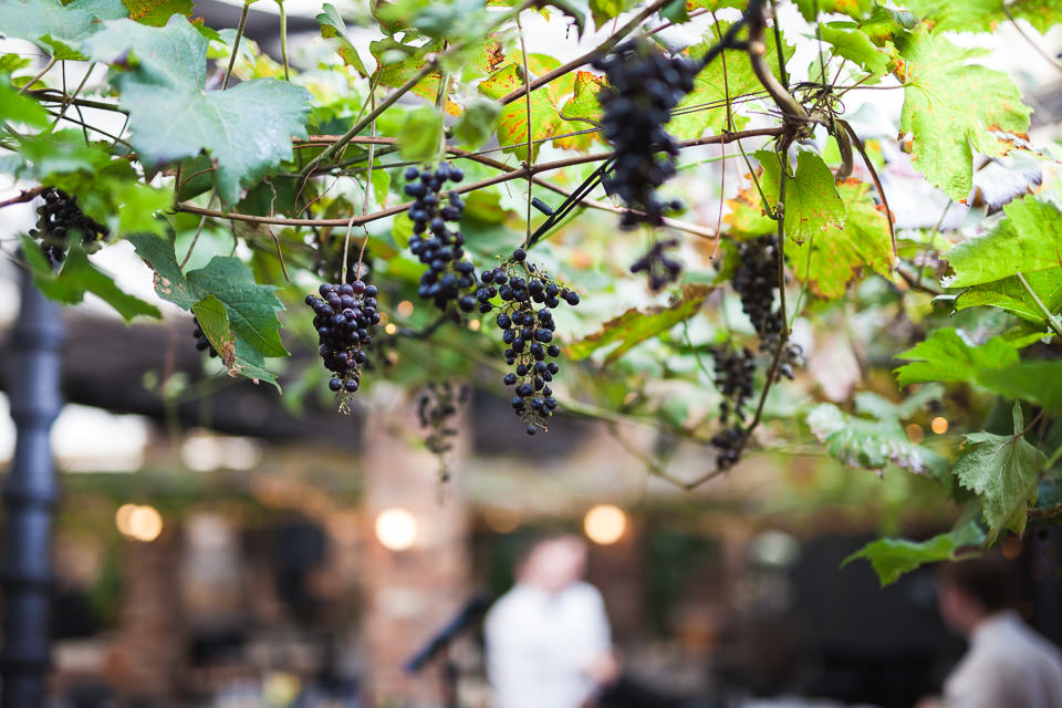 The-official-photographers-Daniel-Lindsay-Vilagrad-Winery-_MG_1335