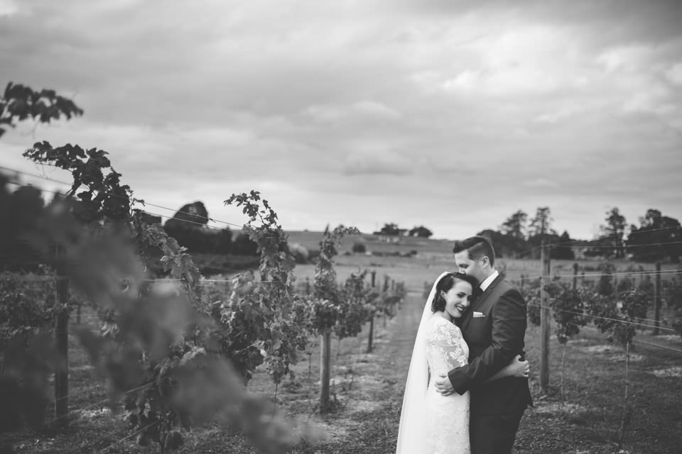 The-official-photographers-Daniel-Lindsay-Vilagrad-Winery-Wedding-_MG_4426
