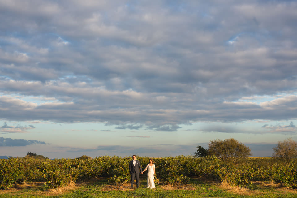 The-official-photographers-Daniel-Lindsay-Vilagrad-Winery-Wedding-_MG_4596