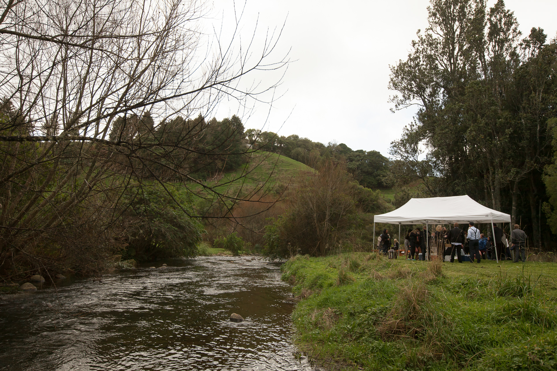 The_Official_Photographers_shannon-Noel-Pirongia-forest-park-wedding_MG_0904