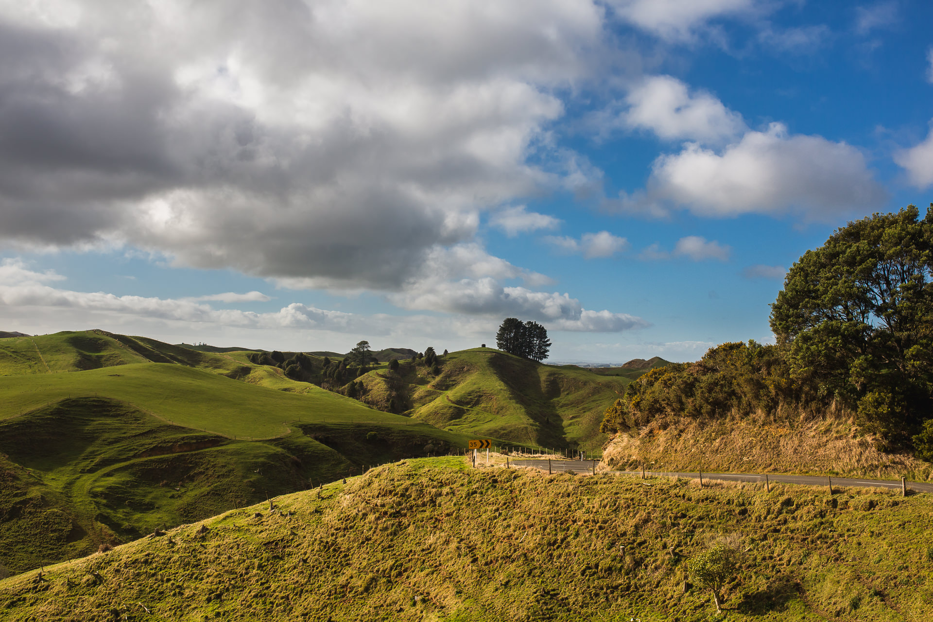 The_Official_Photographers_shannon-Noel-Pirongia-forest-park-wedding_MG_3045
