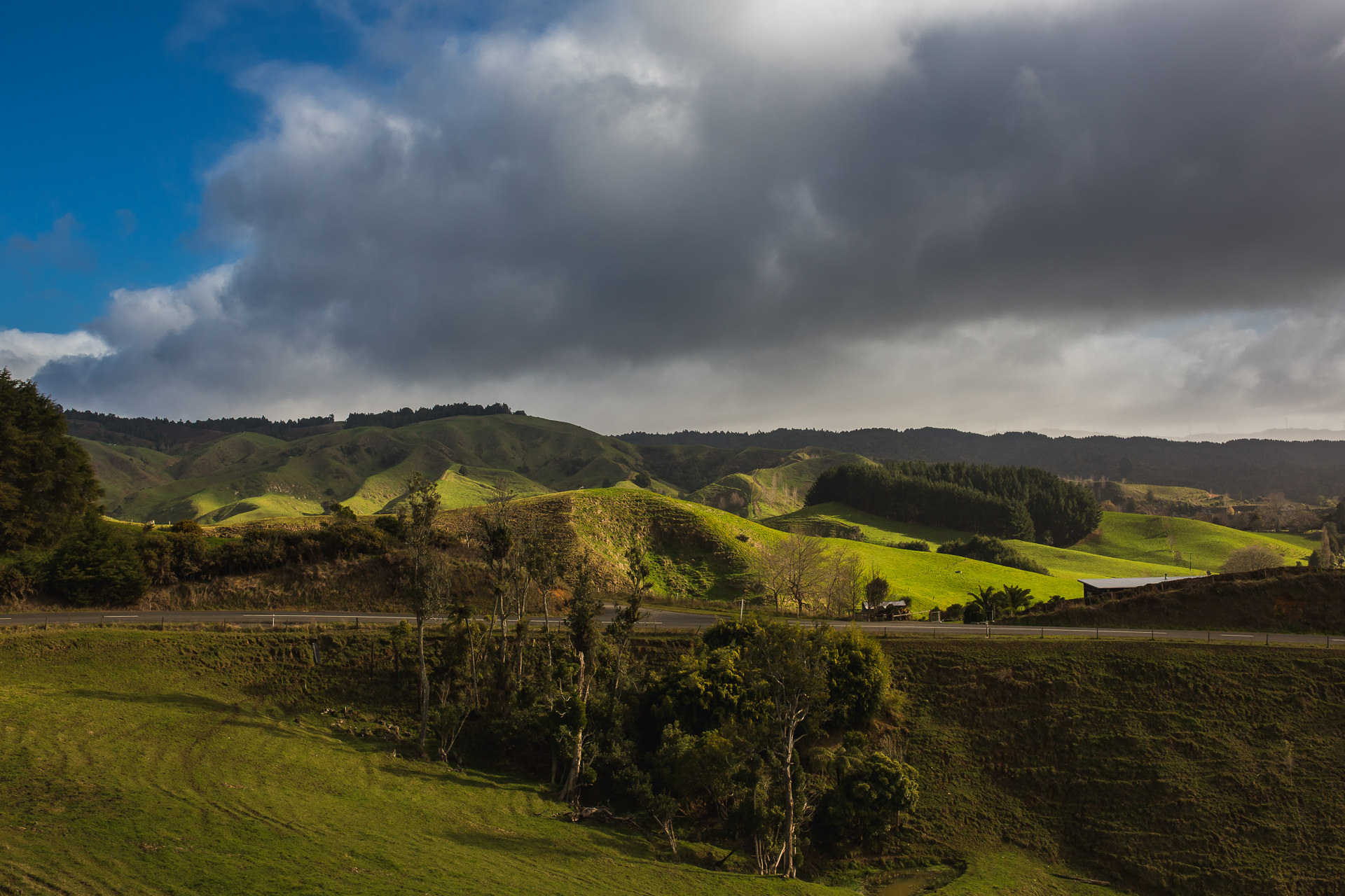 The_Official_Photographers_shannon-Noel-Pirongia-forest-park-wedding_MG_3047