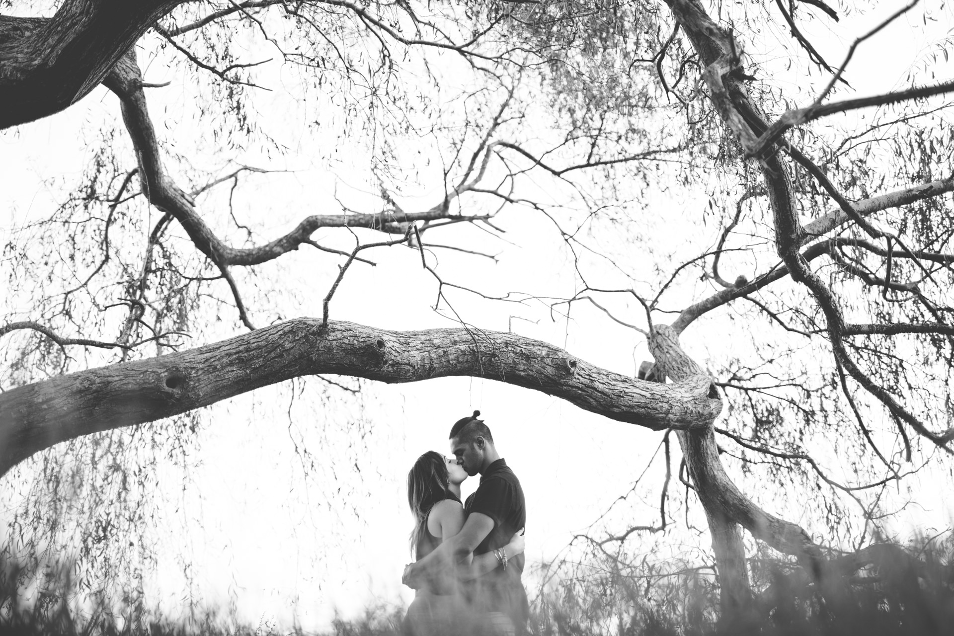 The-Official-Photographers-Wedding-Photography-New-Zealand-www.theofficialphotographers.org_MG_6099