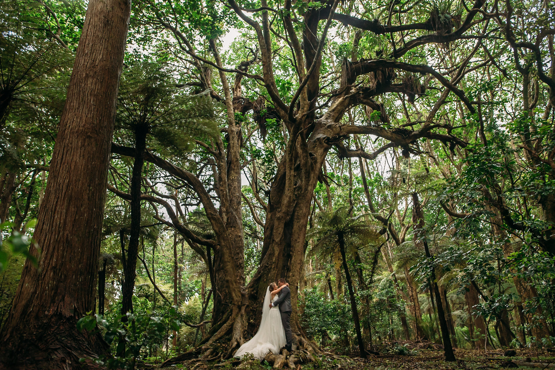 TOP_5776-The-Official-Photographers-Wedding-Photography-Pukekohe-NewZealand