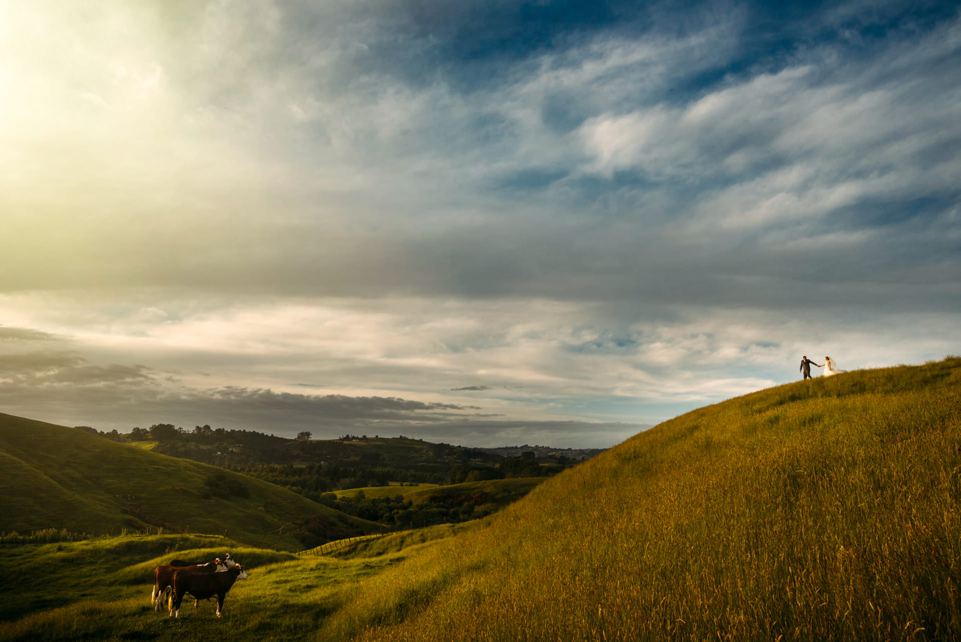 TOP_6363edit-The-Official-Photographers-Wedding-Photography-Pukekohe-NewZealand