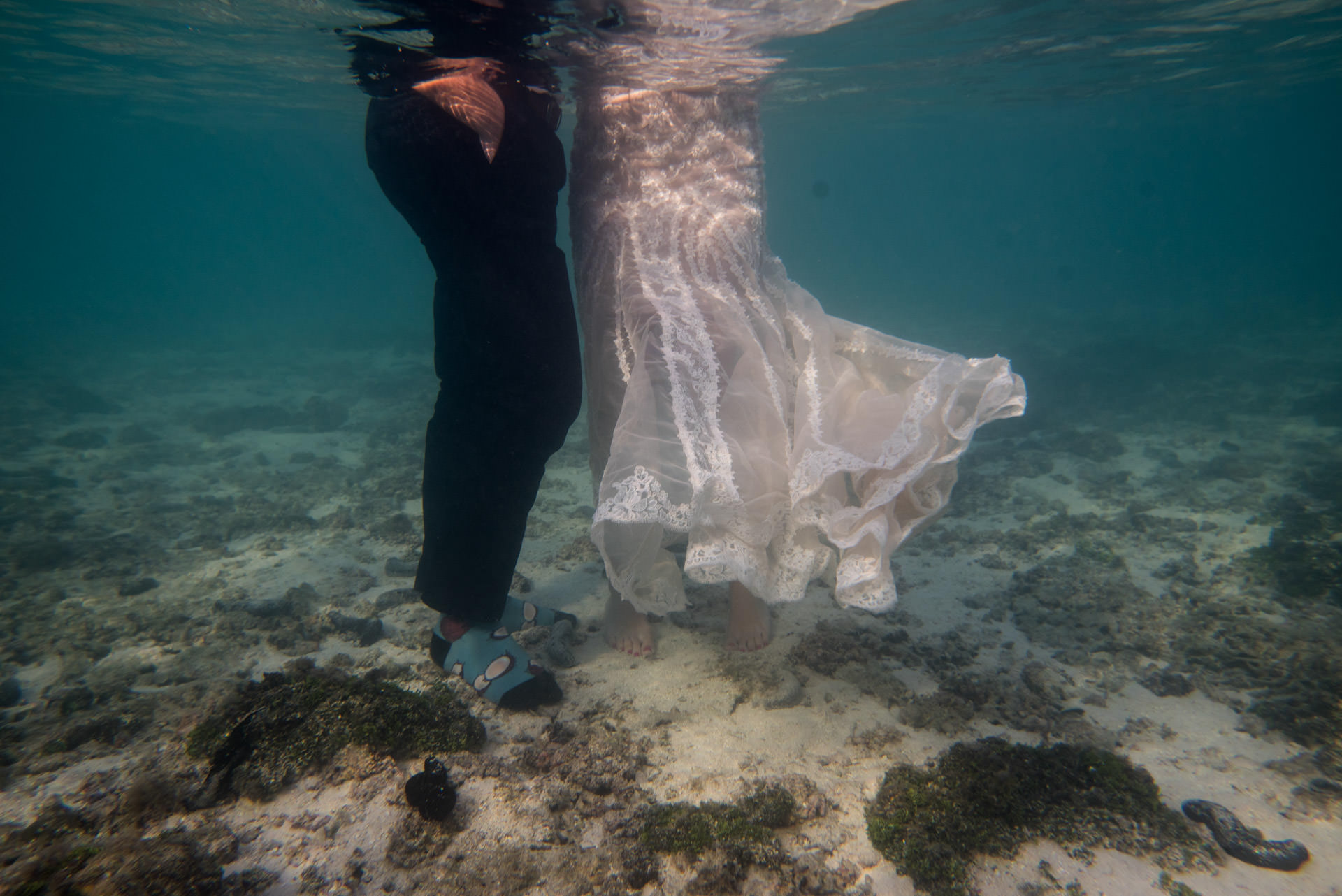 Hayley-Cam-The-Official-Photographers-TOP_3264