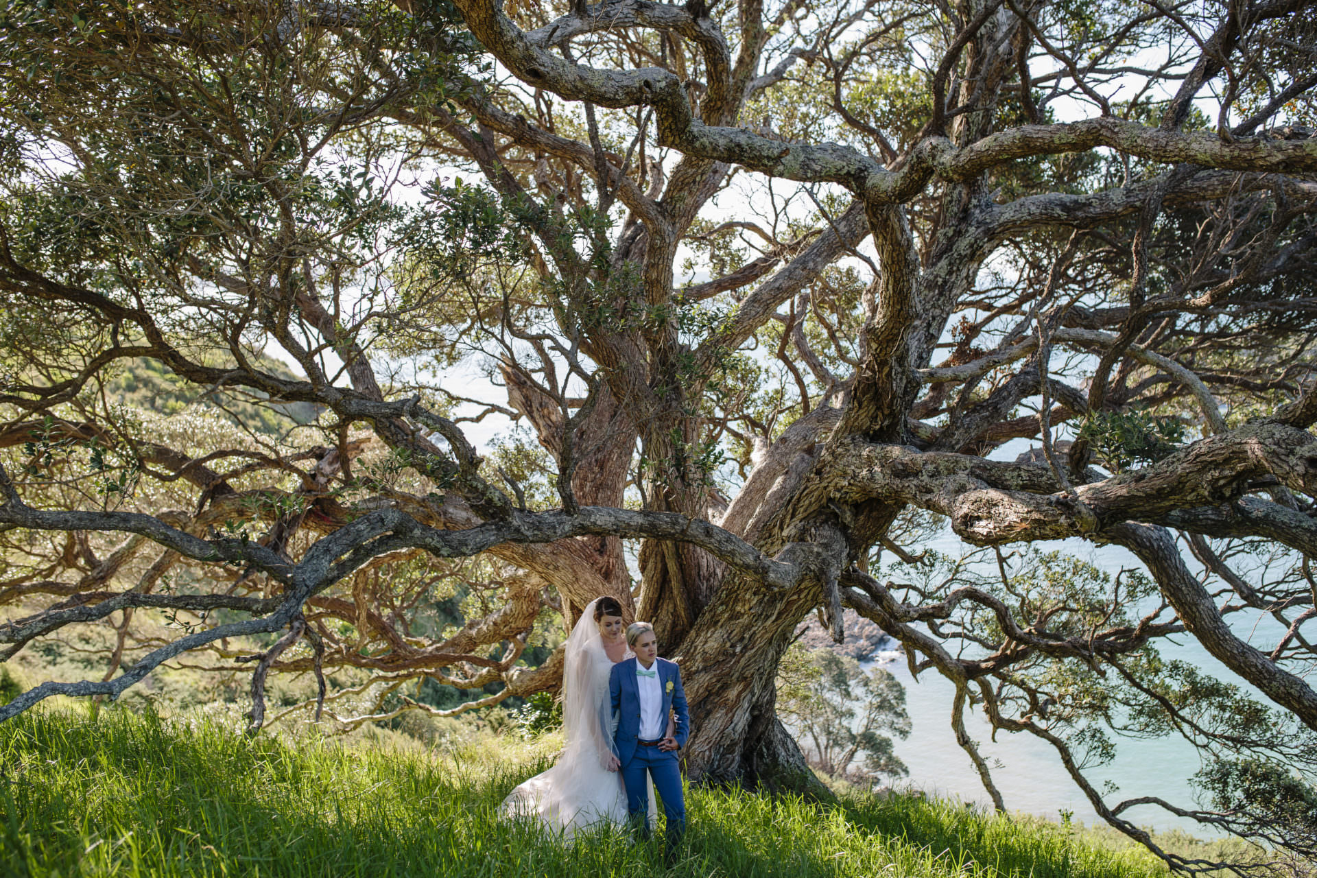 Amanda-Tash-the-official-photographers-wedding_TOP_8446