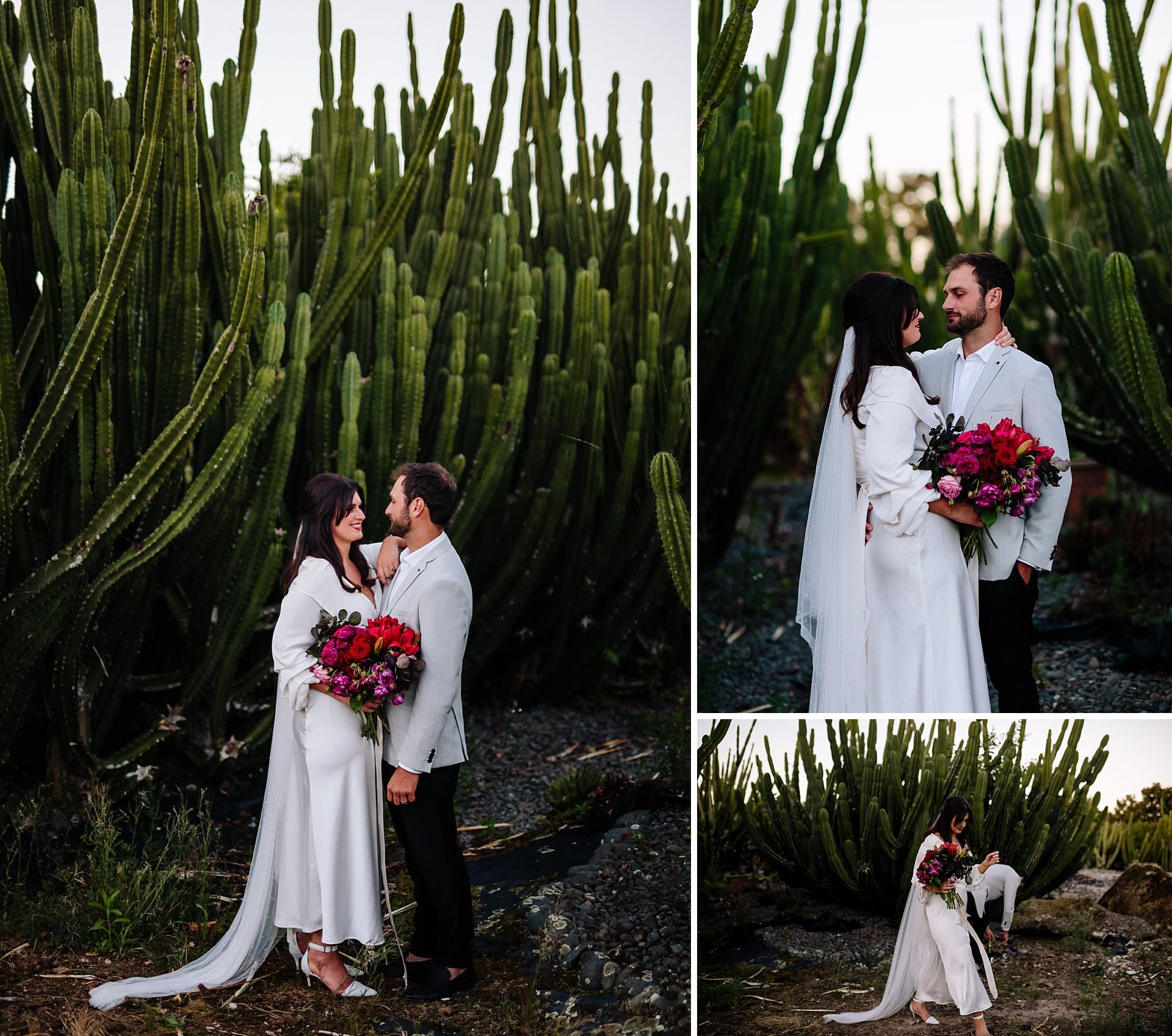 Hamilton Cactus Garden wedding photo of bride and groom at sunset