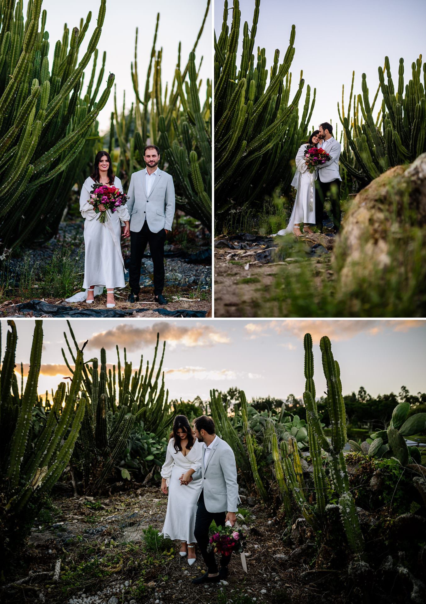 Hamilton Cactus Garden wedding photo of bride and groom at sunset