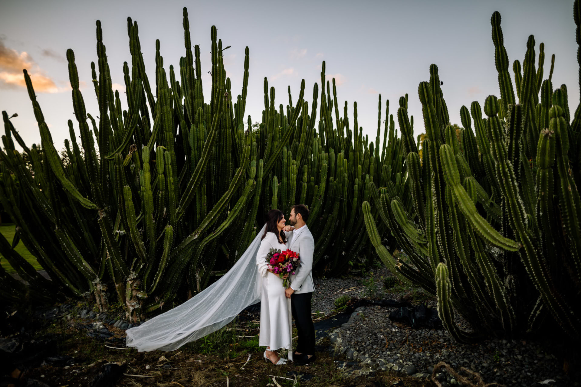 Hamilton Cactus Garden wedding photo of bride and groom at sunset